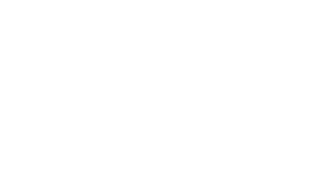 My Cat Snoop